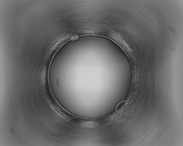 X0000112940058200909071103