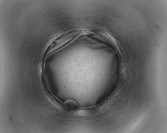 X0000112940059200909071103