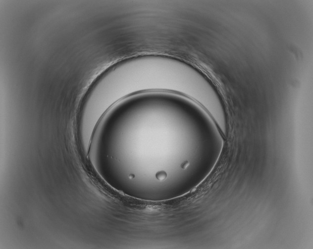 X0000112940060200909071103