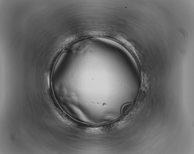 X0000112940061200909071103