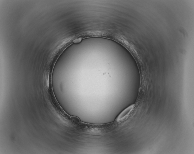 X0000112940062200909071103