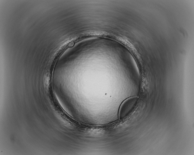 X0000112940063200909071103