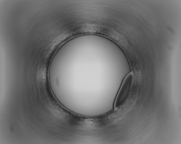 X0000112940064200909071103