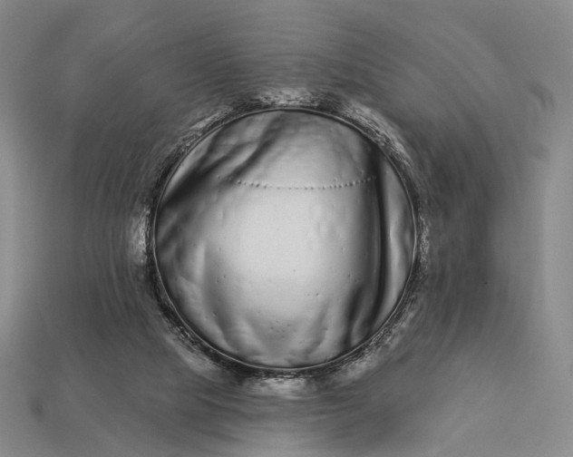 X0000112940065200909071103