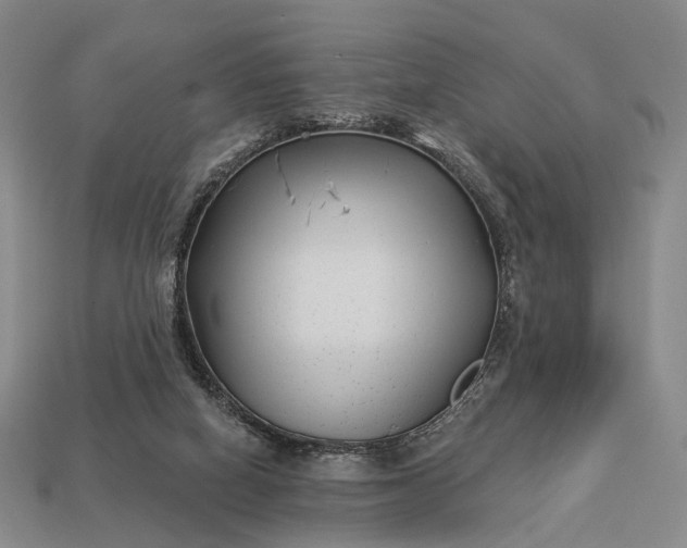 X0000112940066200909071103