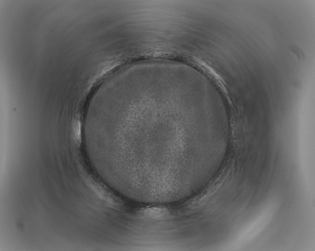 X0000112940067200909071103