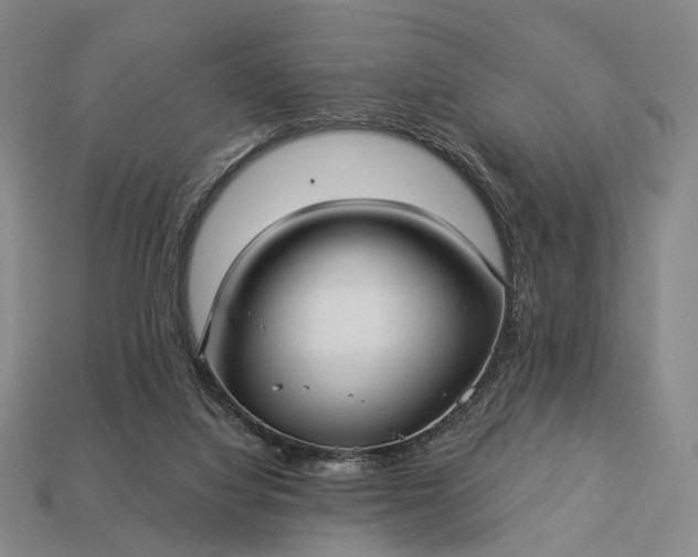 X0000112940068200909071103