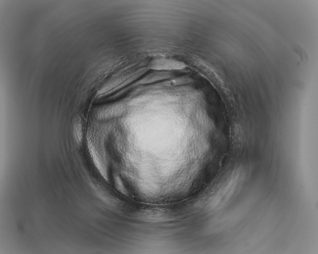 X0000112940069200909071103