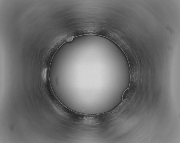 X0000112940070200909071103