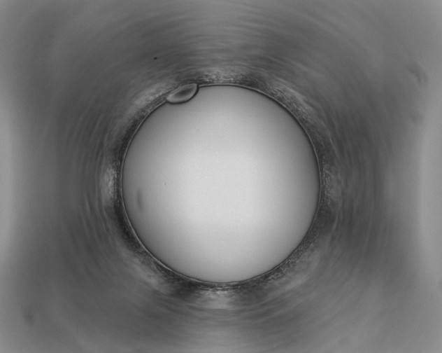 X0000112940071200909071103