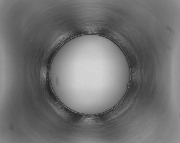 X0000112940072200909071103