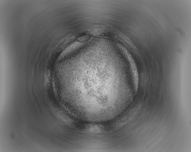 X0000112940073200909071103