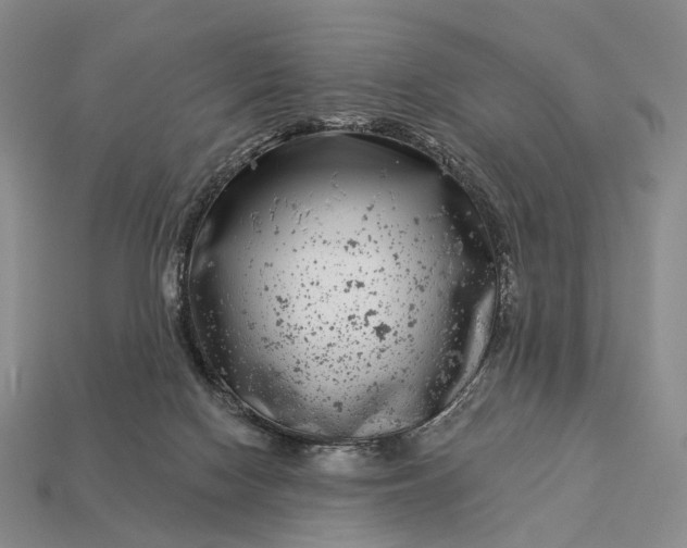 X0000112940074200909071103