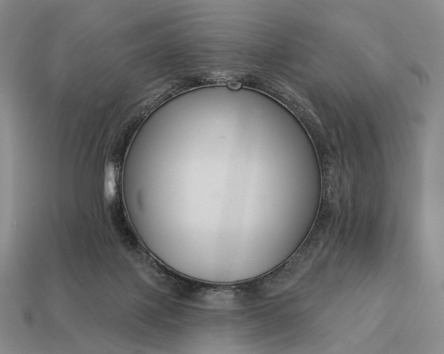 X0000112940075200909071103