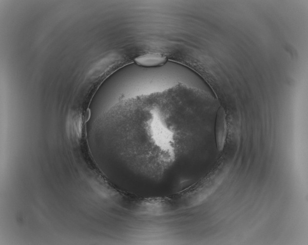 X0000112940076200909071103