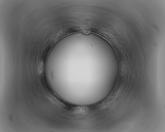 X0000112940077200909071103