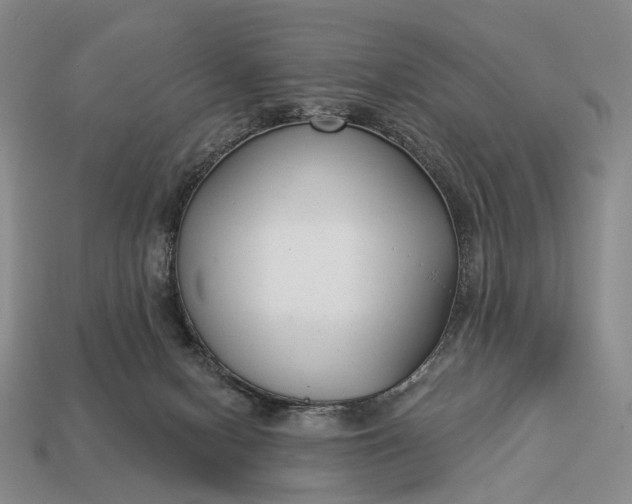 X0000112940078200909071103