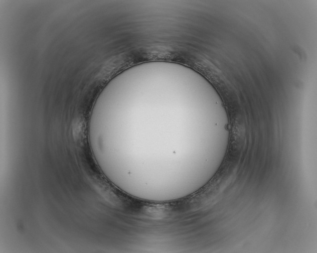 X0000112940079200909071103