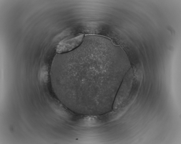 X0000112940080200909071103