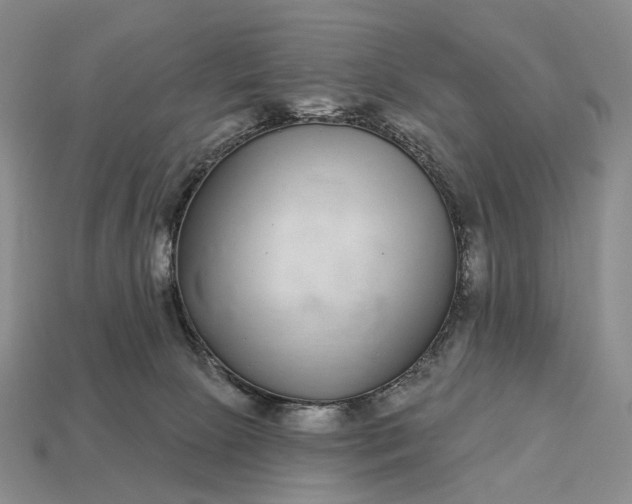 X0000112940081200909071103