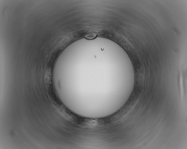 X0000112940083200909071103