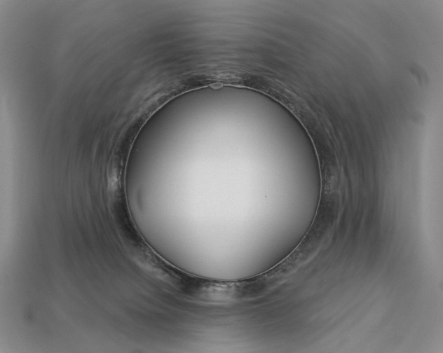 X0000112940084200909071103