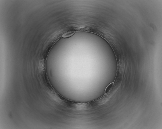 X0000112940085200909071103