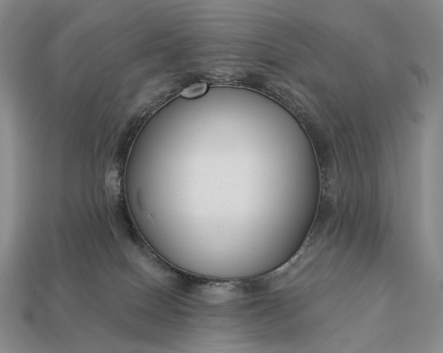 X0000112940086200909071103