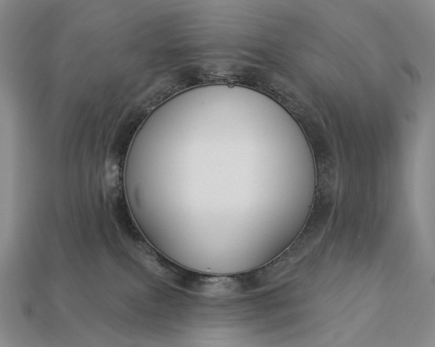 X0000112940087200909071103