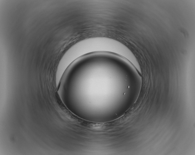 X0000112940088200909071103