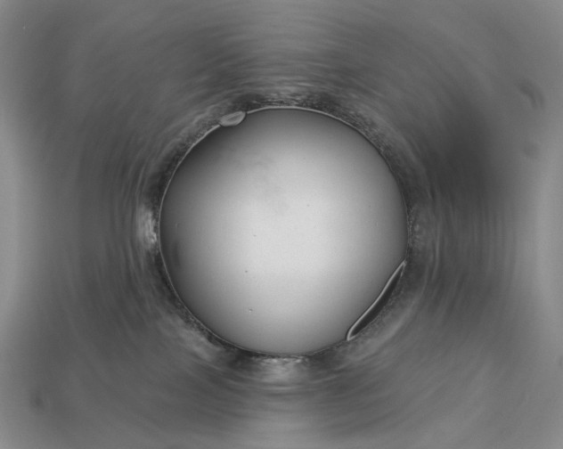 X0000112940089200909071103