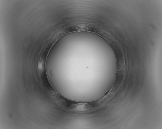 X0000112940090200909071103