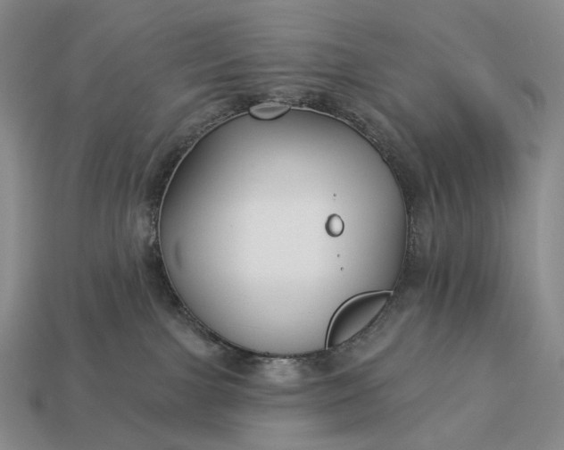 X0000112940091200909071103