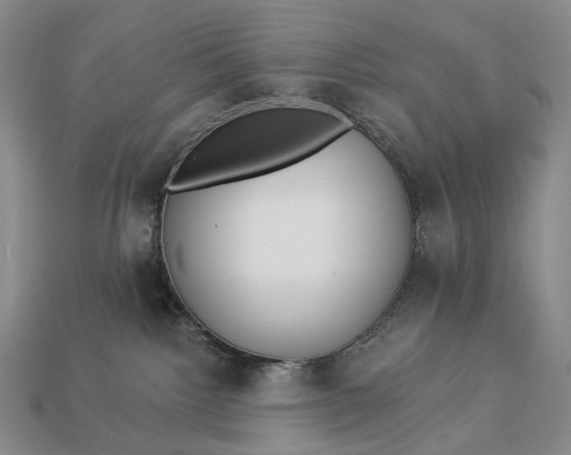 X0000112940092200909071103