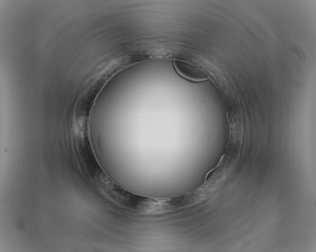 X0000112940093200909071104