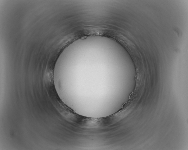 X0000112940096200909071104