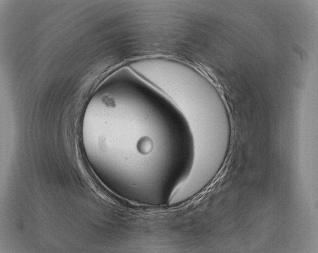 X0000112940097200909071103