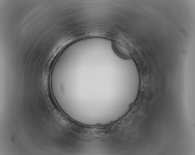 X0000112940098200909071103