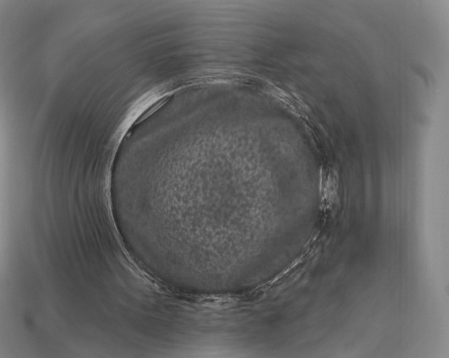 X0000112940099200909071103