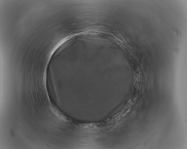 X0000112940100200909071103