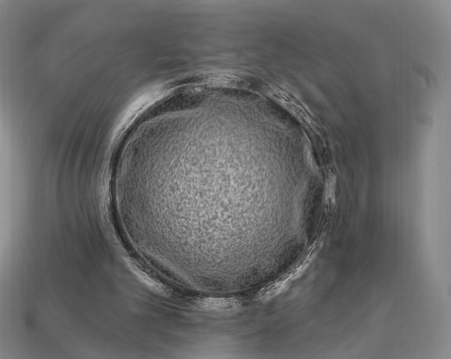 X0000112940101200909071103