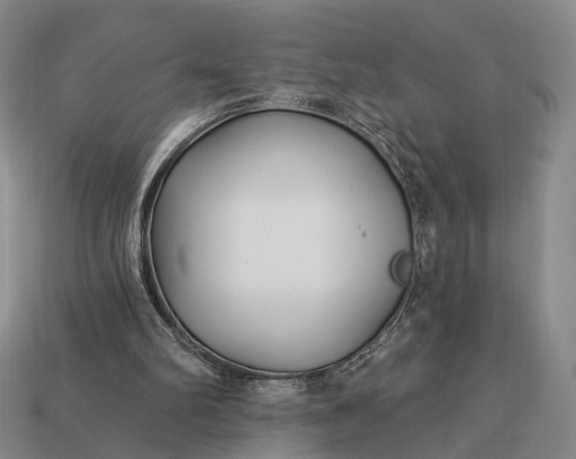 X0000112940102200909071103