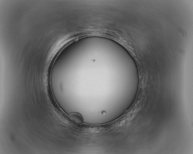 X0000112940103200909071103