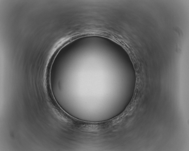 X0000112940104200909071103