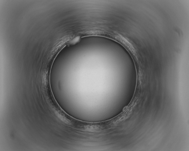 X0000112940105200909071103