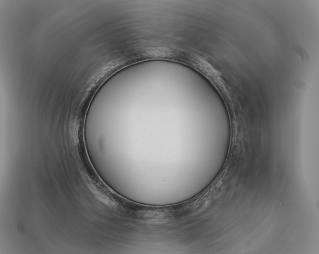 X0000112940106200909071103