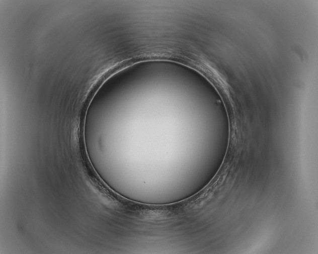 X0000112940107200909071103