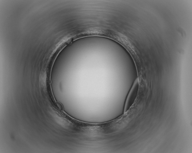 X0000112940108200909071103