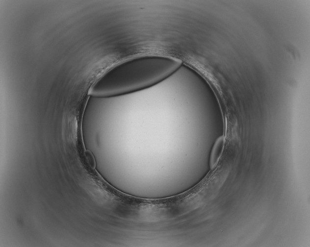 X0000112940109200909071103