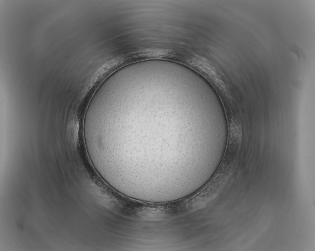 X0000112940110200909071103